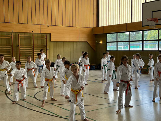 Wado Ryu - Kids Special 2022 in Berlin 