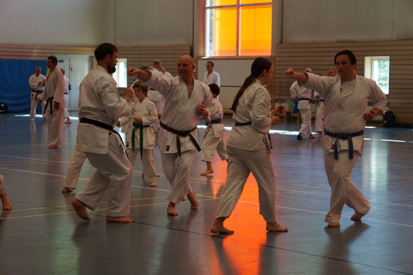 Wado Pentecost Seminar 2026 in Berlin
