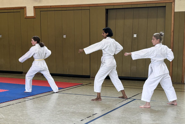Wado ryu seminar with Christina Gutz,  Dr Nico Ruf and Murat Salbas on 13.10.2024 in Berlin