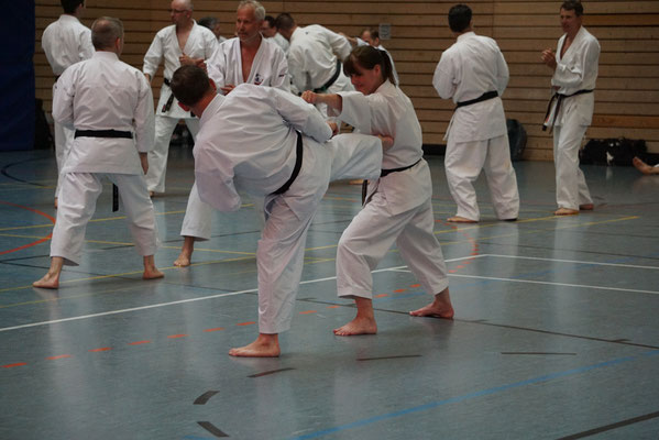 Wado Pentecost Seminar 2023 in Berlin