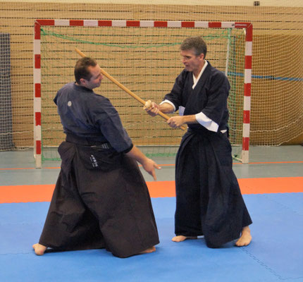 Wado and TSYR Seminar with Toby Threadgill and Koichi Shimura on 18 and 19 February 2017 in Berlin