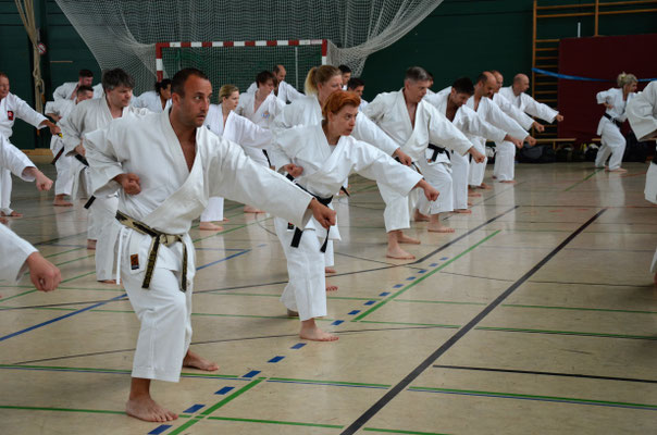 Wado Pentecost Seminar 2017 in Berlin