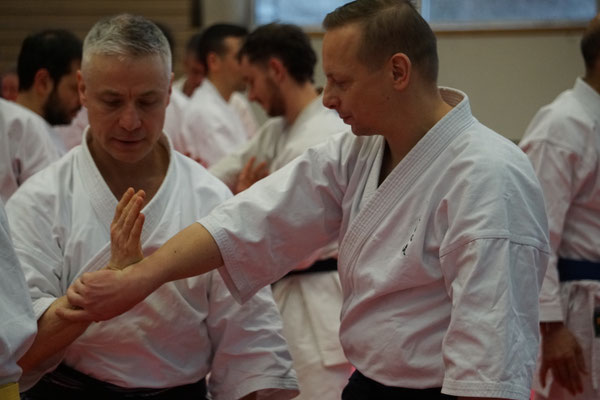 Wado and TSYR Seminar with Shimura and Threadgill in Berlin, 02/2026