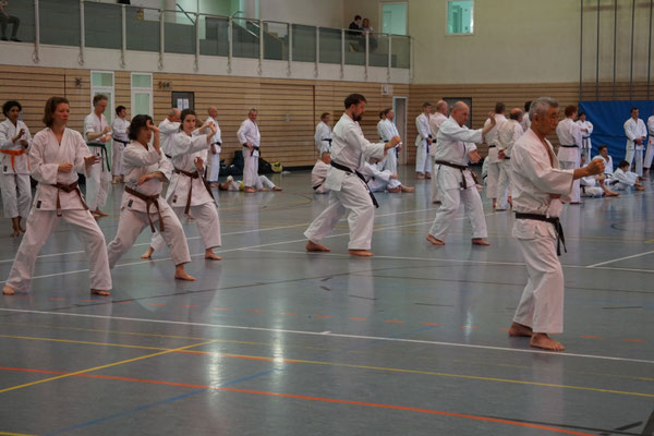 Wado Pentecost Seminar 2026 in Berlin