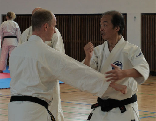 WADO AND TSYR FRIENDSHIP SEMINAR WITH TOBY THREADGILL (USA), SHUZO IMAI (GERMANY) AND TRAN HIEU MINH (FRANCE) ON 12TH AND 13TH MAY, 2018