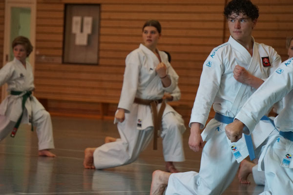 Wado Pentecost Seminar 2026 in Berlin