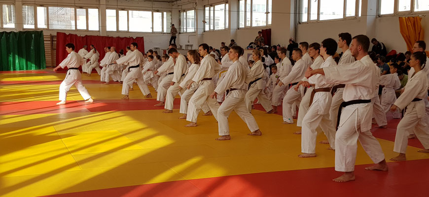 JKF Wado-Kai Seminar in Budapest with Shuzo Imai (9. Dan) and Christina Gutz (7. Dan), 18 - 20 January 2019