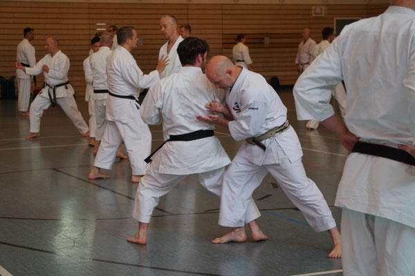 Wado Pentecost 2025 Seminar in Berlin