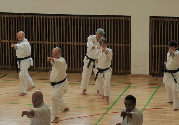 WADO AND TSYR FRIENDSHIP SEMINAR WITH TOBY THREADGILL (USA), SHUZO IMAI (GERMANY) AND TRAN HIEU MINH (FRANCE) ON 12TH AND 13TH MAY, 2018