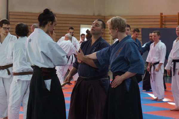 Wado und TSYR Lehrgang mit Koichi Shimura (Japan) und Toby Threadgill (USA) am 16. und 17. Februar 2019 in Berlin