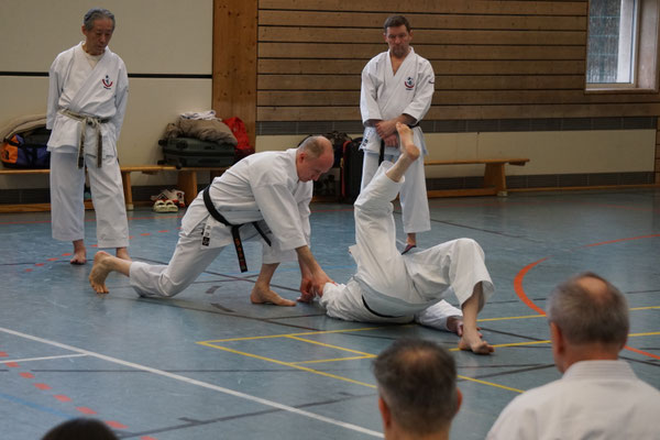 Wado and TSYR Seminar with Shimura and Threadgill in Berlin, 02/2026