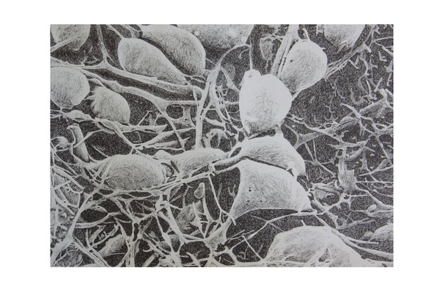 Neurones, (rotring sur papier), 2018