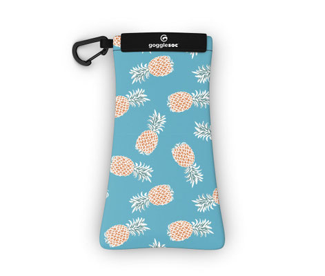 SUN-A100 pineapple sunnysoc