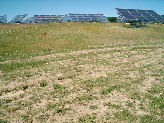 Solarmover auf Gut Erlasee im Juli 2006