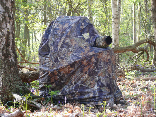 Fauteuil tente camouflage