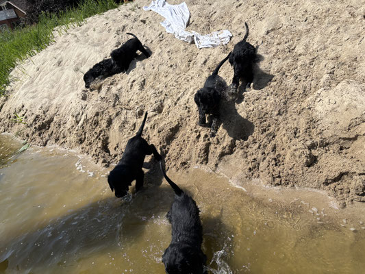 Papermill Beach ist klasse
