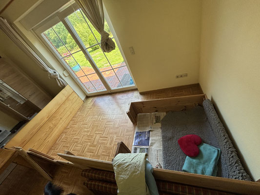 Neue Welpenwohnung .. mit Aussicht