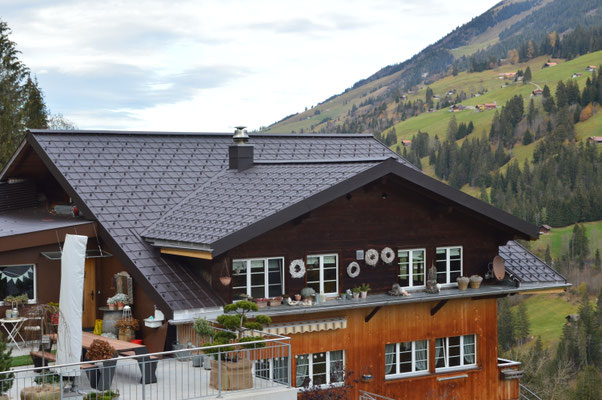 Bauernhaus, Dachplatte, Nussbraun