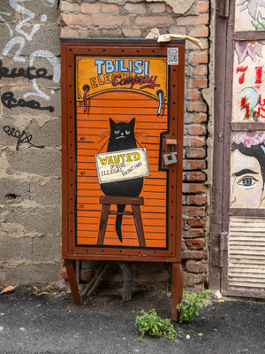 Tbilisi, "the cat Banksy"