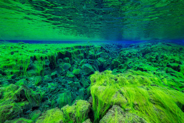Diving Silfra fissure (unbelivable viz, but only 3C warm) between American and Eurasian continental plates [2017]