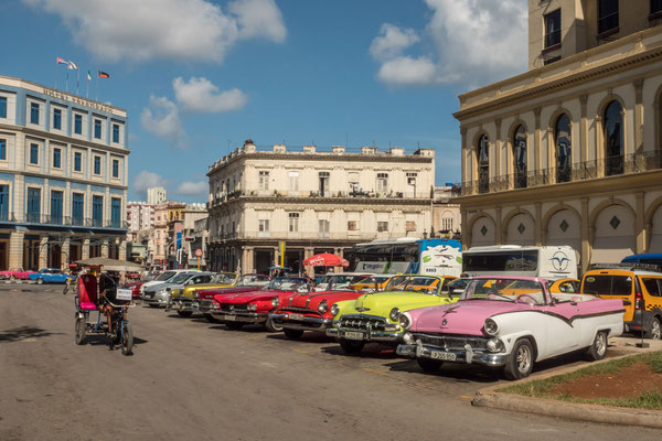 Havana