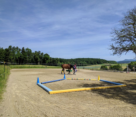 Pferdeunterstützte Coachings und Natur pur - die perfekte Kombination für ein unvergessliches Erlebnis
