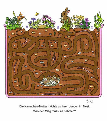 Labyrinth mit Kaninchen und Nest, Bilderrätsel