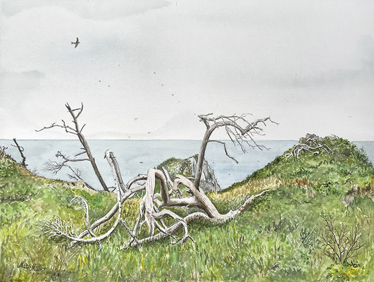 MatsMüller, Kullaberg, 55x41cm