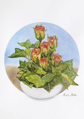 Mats Müller, Rosor o murgröna, 40x30cm