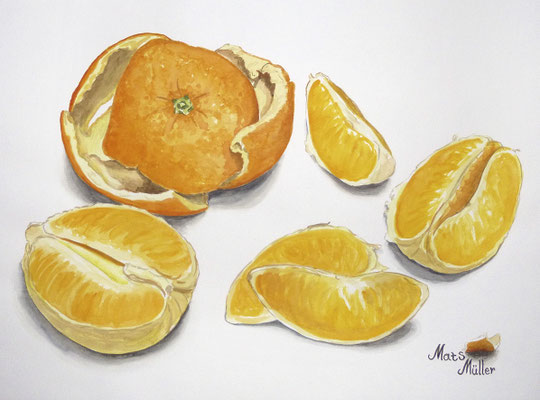 Mats Müller, Skalad apelsin, 40x30cm