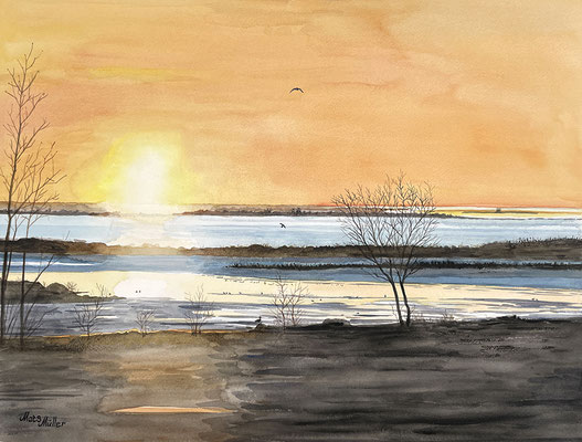 MatsMüller, Rödkallen, 55x41cm