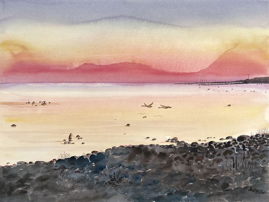 MatsMüller, Svanpar, 55x41cm