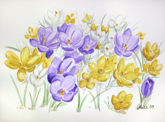 Mats Müller, Krokus, 40x30cm