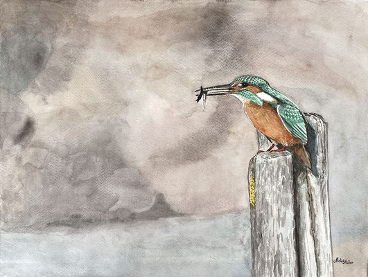 MatsMüller, Kungsfiskare, 40x30cm