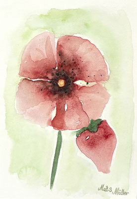 MatsMüller, Blomkort-1, 21x14,5cm