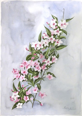 Mats Müller, Blomgren, 40x30cm