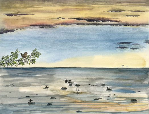 MatsMüller, Gärdsmyg vid Öresund, 65x49cm