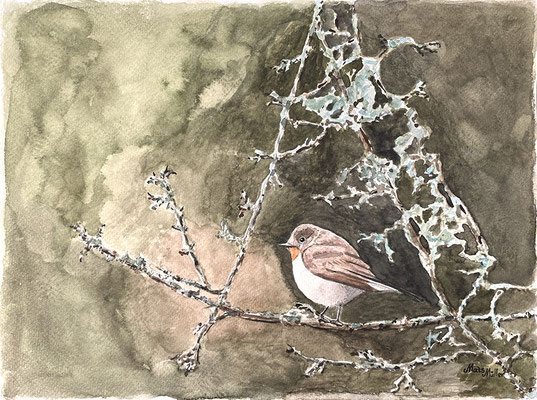 MatsMüller, Mindre flugsnappare, 32x24cm