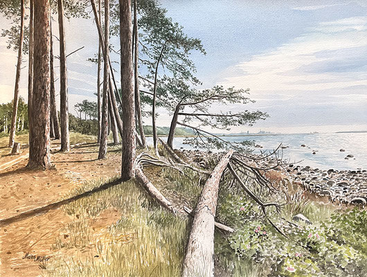 MatsMüller, Svarttallar, 55x41cm