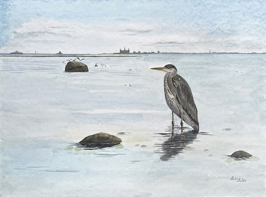 MatsMüller, Häger, 48x36cm