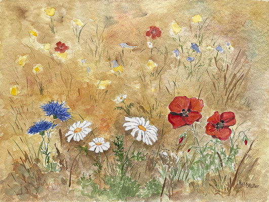MatsMüller, Midsommarblomster, 45x37cm
