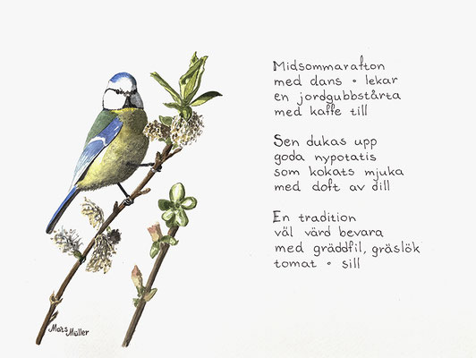 MatsMüller, Blåhake, dikt, 32x24cm