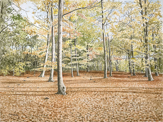 Mats Müller, Kulla-höst, 56x42cm