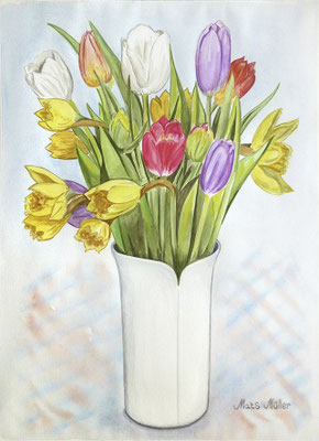 Mats Müller, Tulpaner, 40x30cm