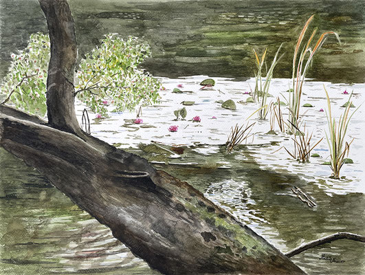 Mats Müller, Mölle Mosse, 42x30cm
