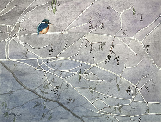 Mats Müller, Kungsfiskare, 65x50cm