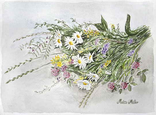 Mats Müller, Bukett, 40x30cm