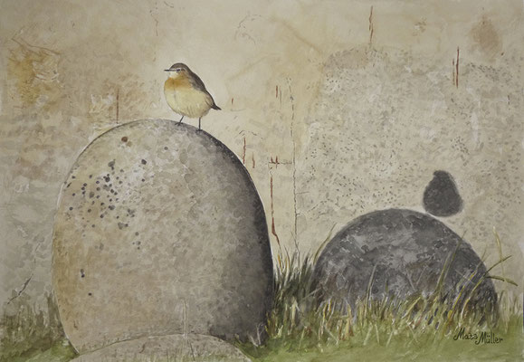 MatsMüller, Stenskvätta, Northern Wheatear, 40x30cm