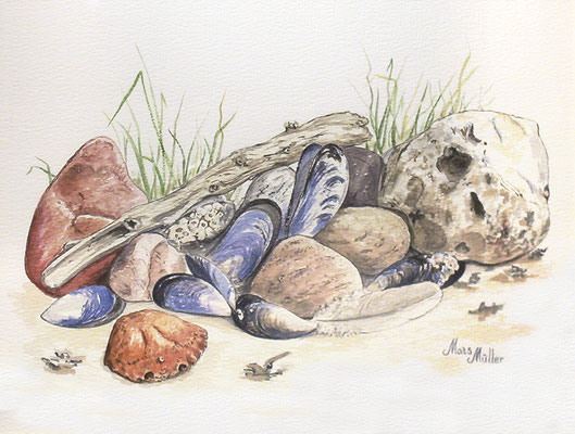Mats Müller, Strandfynd, 40x30cm