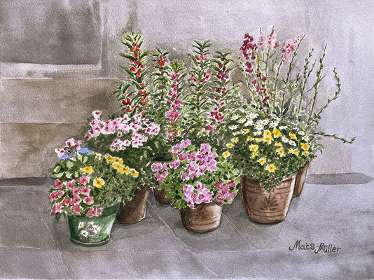 Mats Müller, Blomkrukor, 40x30cm
